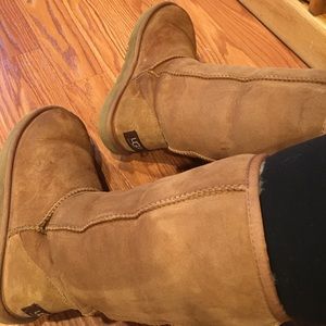 Chestnut Uggs